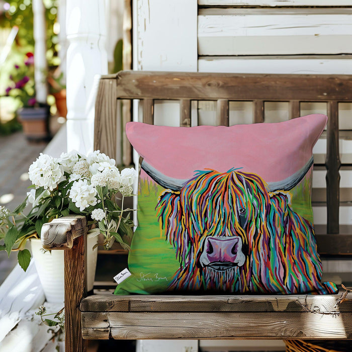 Nan McCoo - Outdoor Cushions