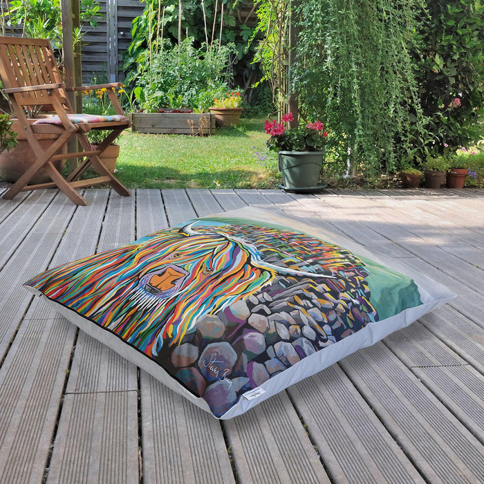 Paddy McCoo - Outdoor Cushions