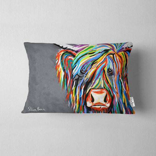 Rab McCoo - Cushions