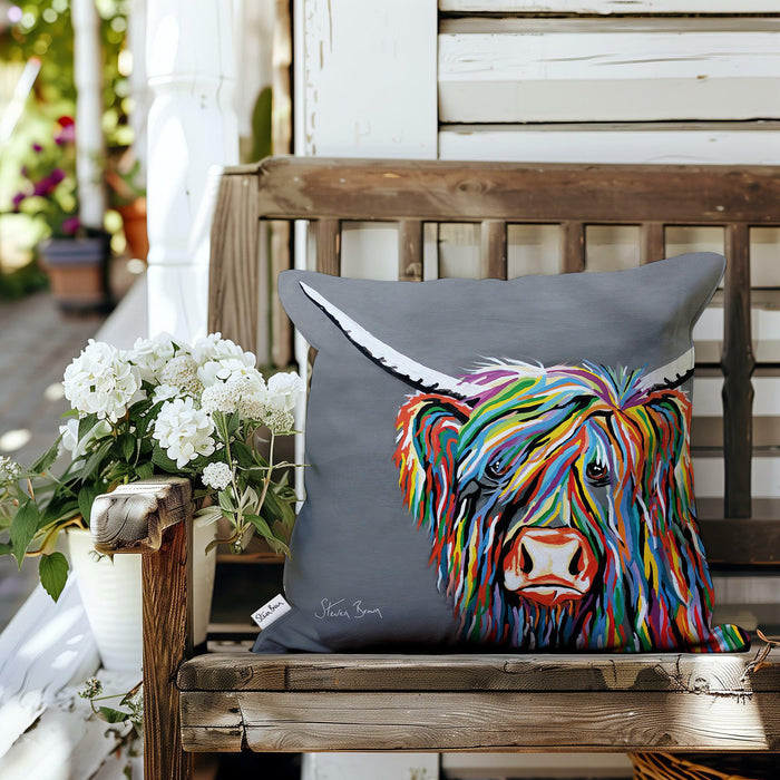 Rab McCoo - Outdoor Cushions