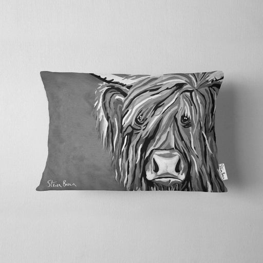 Rab McCoo The Noo - Cushions