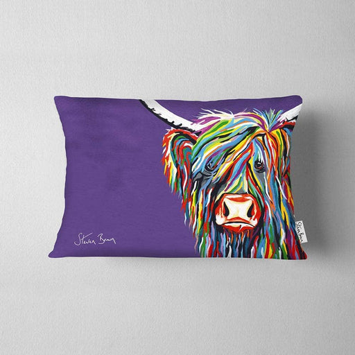 Rainbow Rab McCoo - Cushions