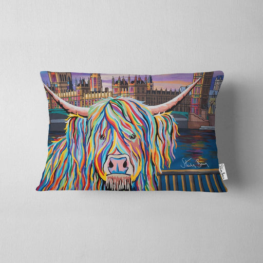 Wee Ben McCoo - Cushions